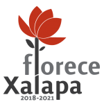 logoFlorXalapa